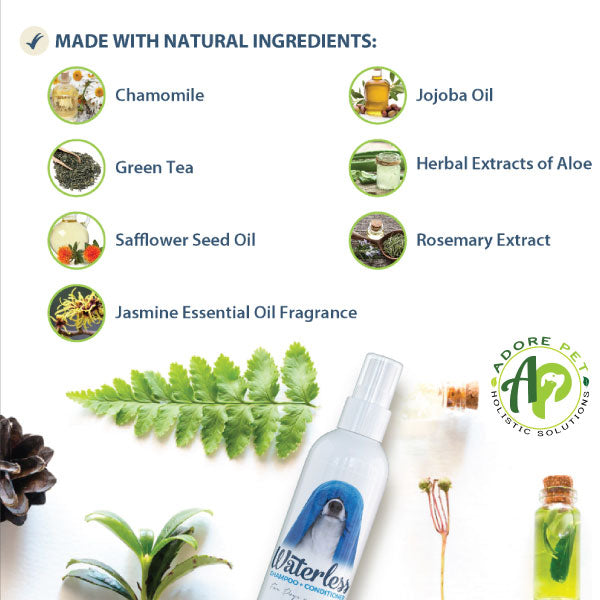 Waterless Shampoo + Conditioner