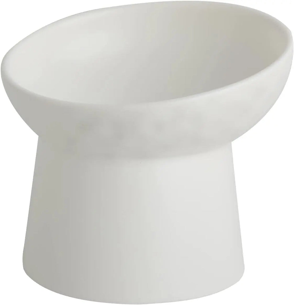 Ceramic Raised Tilted Cat Bowls Set of 2, Elevated Porcelain Feeder