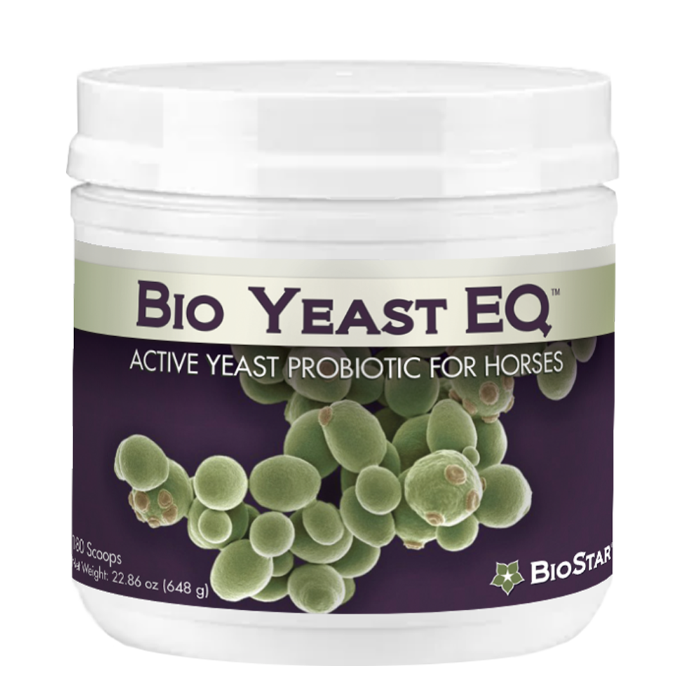 Bio Yeast EQ