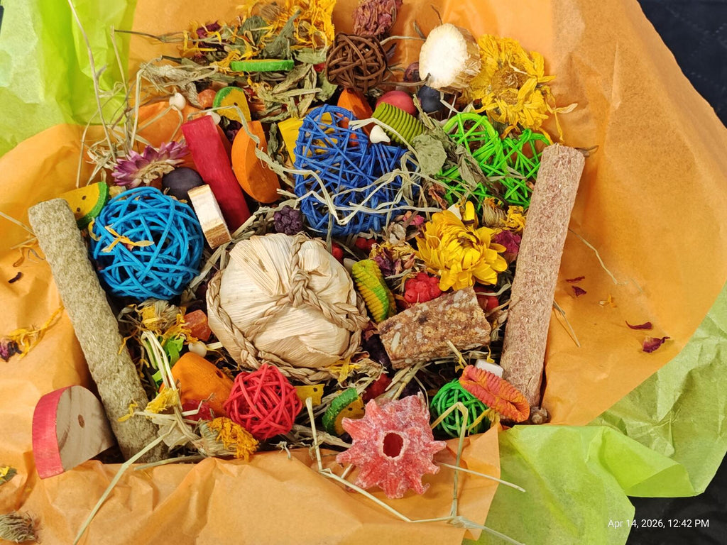 "Ultimate" Toy, Chew and Treat Box - Chinchillas, Guinea Pigs, Rabbits