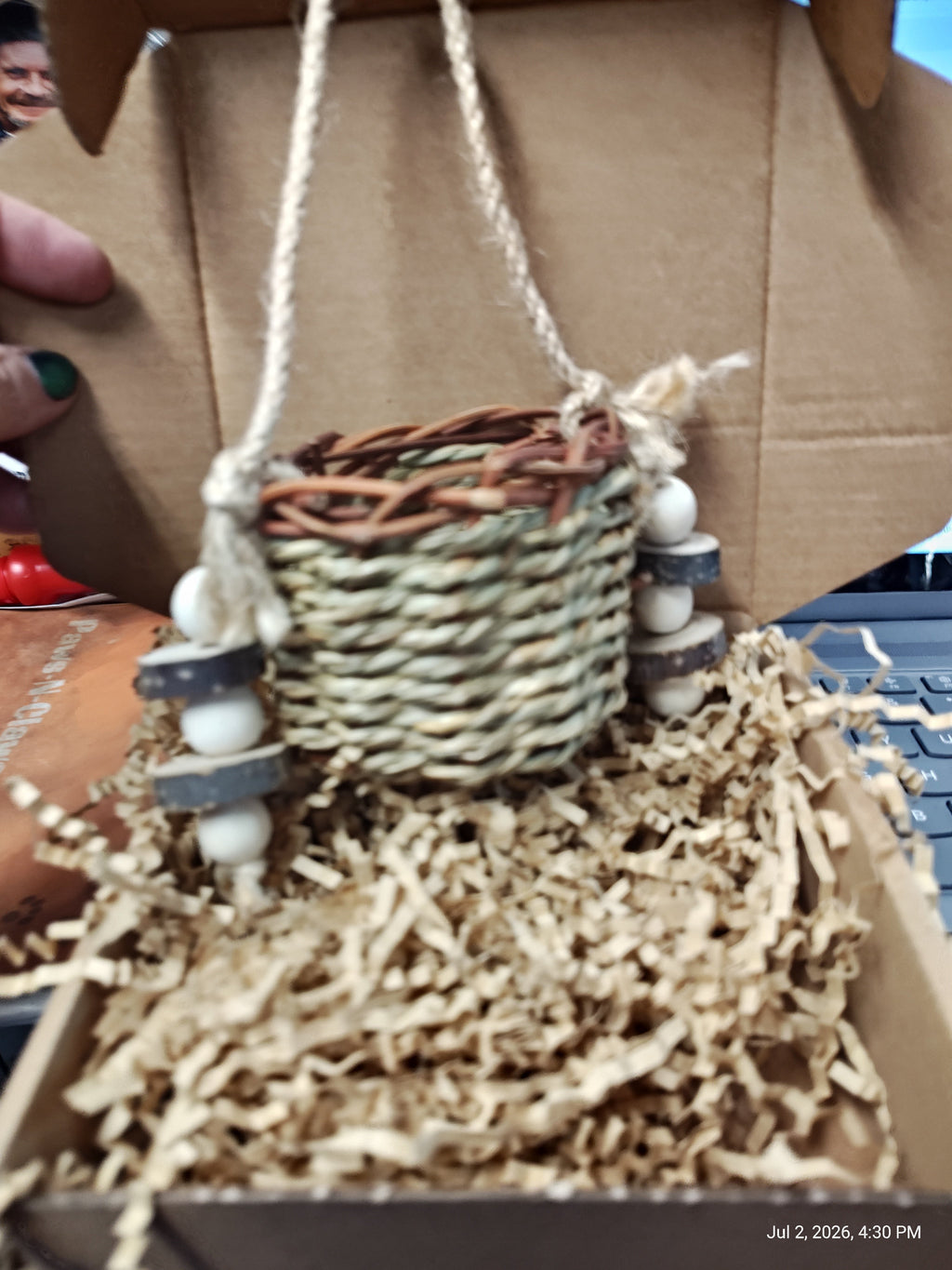Play & Chew Toys & More Perfect for Cavy, Rabbits & Rodents