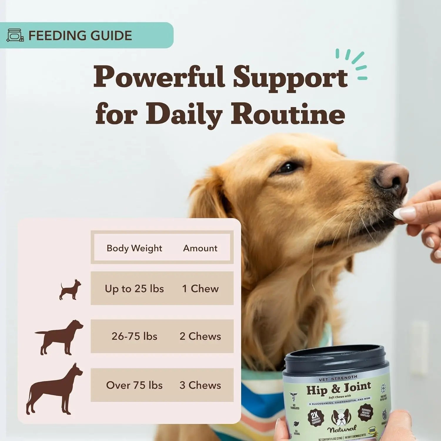 Natural Dog Company Hip & Joint Chews & Liquid Formula for Senior Dogs 90 Ct