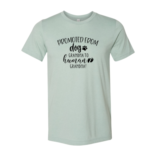 Promoted from Dog Grandma to Human Grandma T-Shirt