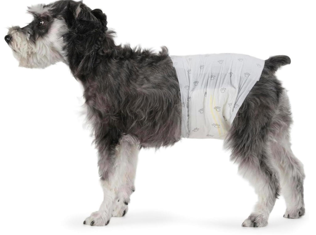 Male Dog Wraps, Disposable - Xtra -Small Pack of 30 count