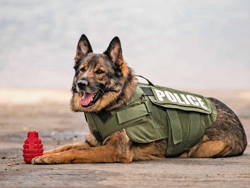 USA-K9 Grenade Shaped eDispenser Durable Dog Chew Toy & Treat Dispenser - Army Green